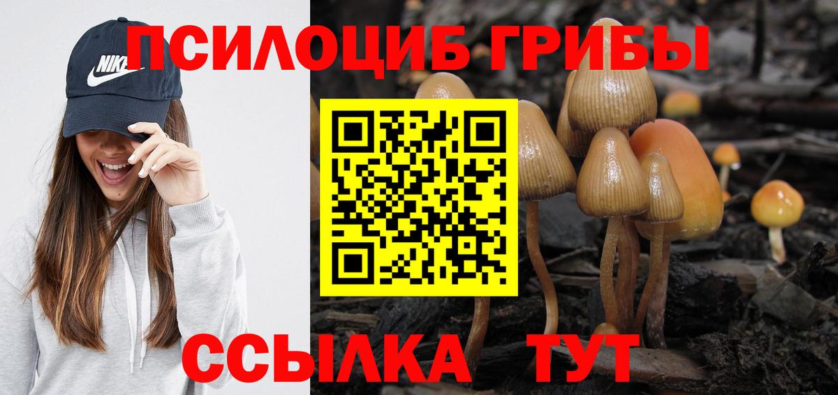 Псилоцибиновые грибы мицелий  купить наркоту  Домодедово  Вход с VPN 